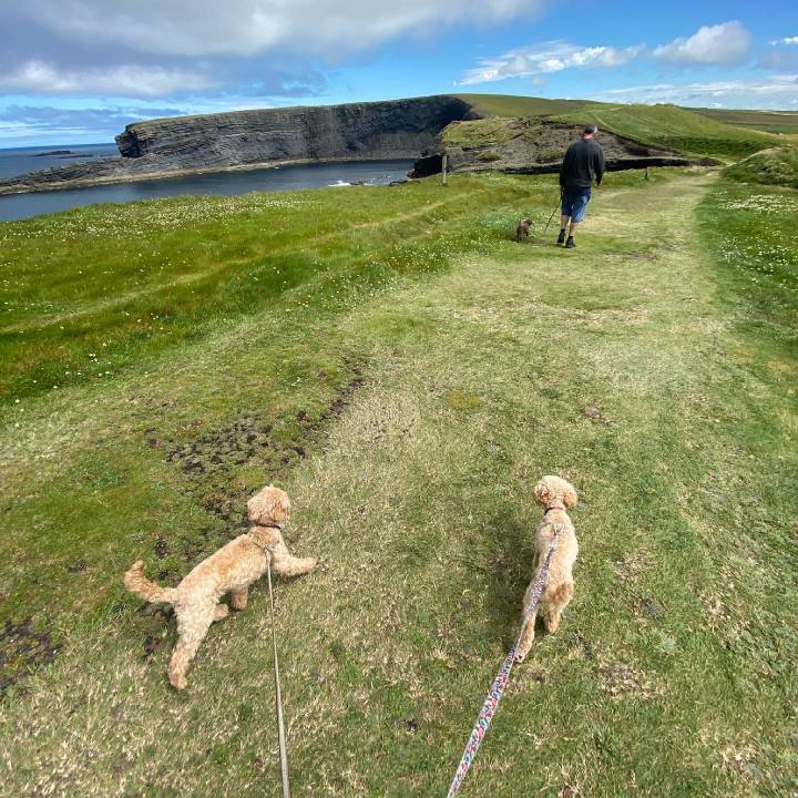 89e34201 d6e8 4394 bd99 caa1b1ab10b0 1624890430880