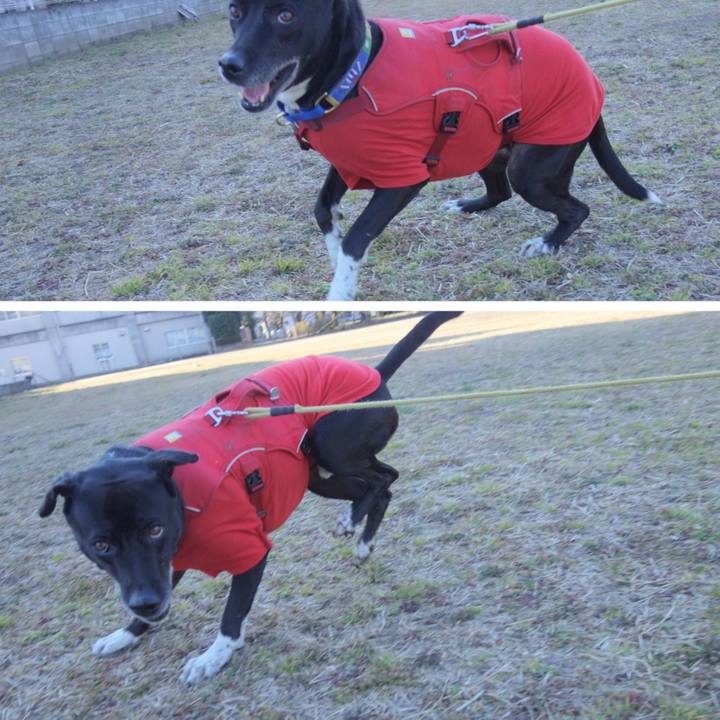 89e344e6 568d 4498 95f5 0914ecd7f764 1675912987858