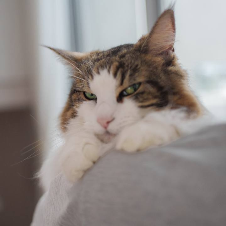 89e3458b ba60 413f 851c ec1164b6c4a8 1727583697715