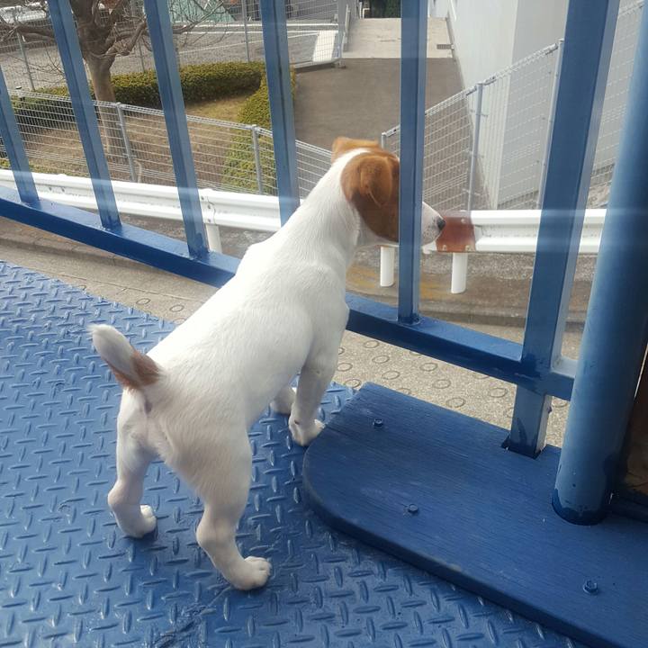 89e38edf c95d 491c a81c 82059b31fa5a 1551060357334