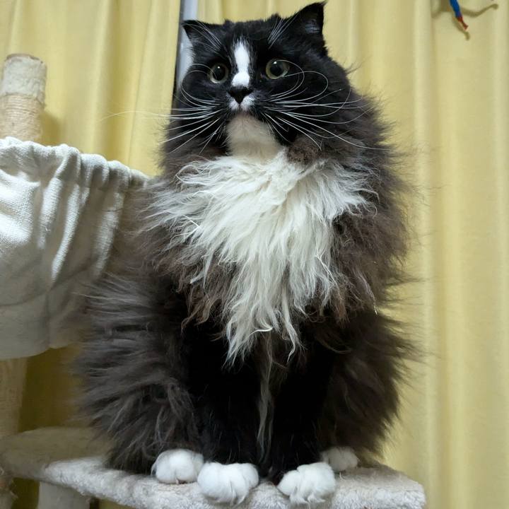 89e3e9f3 d755 4607 a4f1 a5a6bf9a14cb 1734188292247