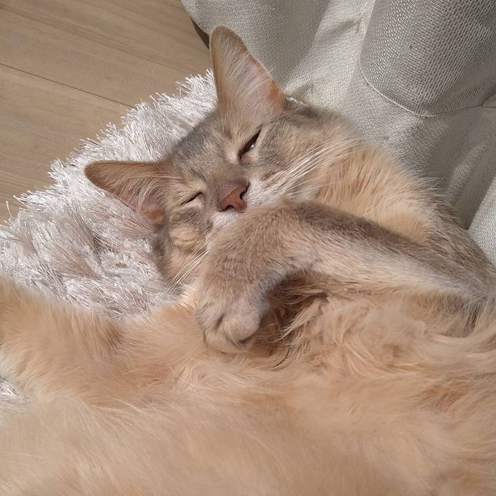 89e4717a 1167 406b a44a d2981219ed0e 1615258286297