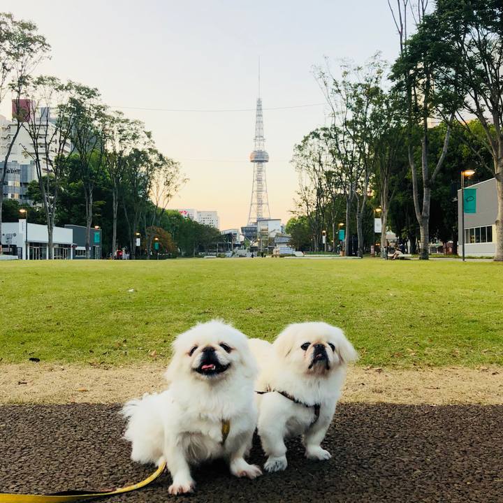 89e47be1 f4cf 48dd abac efef6652183d 1601416183955