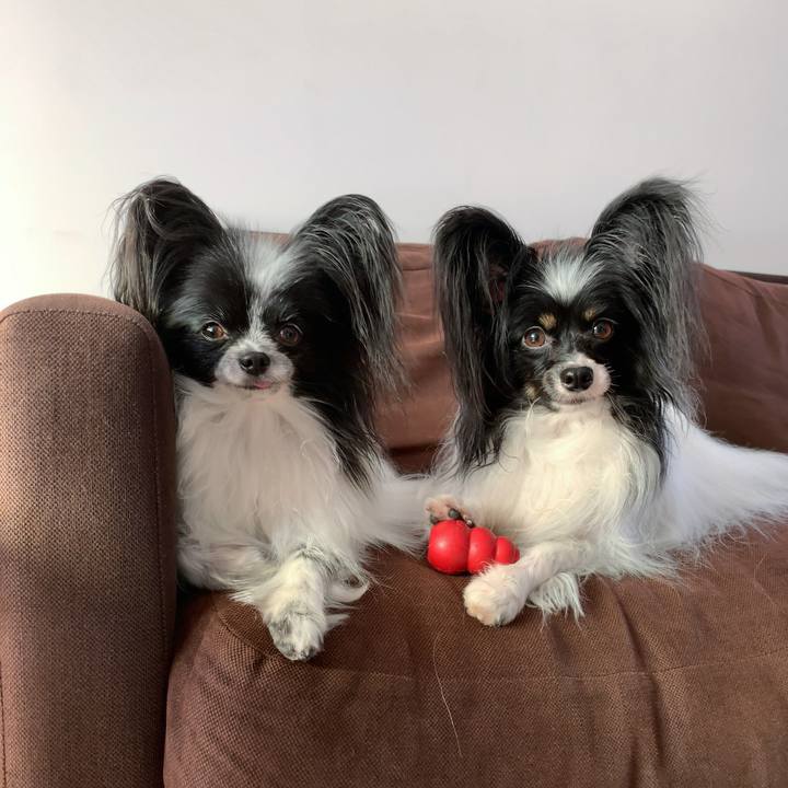 89e49a64 7840 4320 94ff acdafa40deae 1565264694071