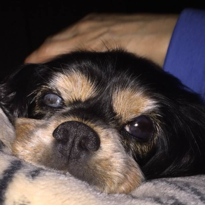 89e4baae 158a 4d1d bc80 933fb2c11729 1550585154774