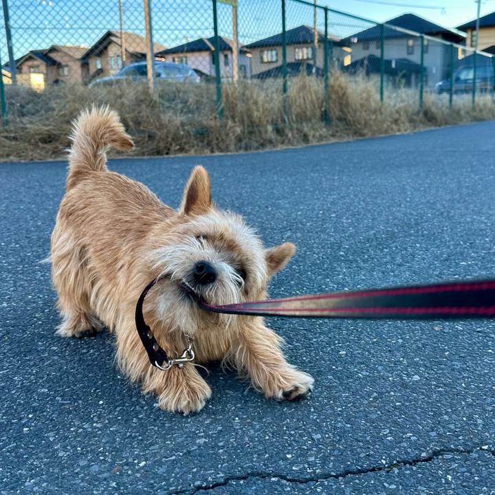 89e4cdd8 14e8 4acf a10e 0ca5922c8770 1732987529825