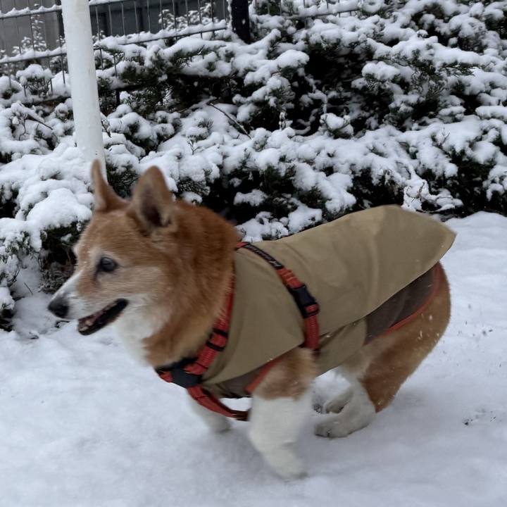 89e4ddf2 d0ad 4fda b6f1 b5023f1e8529 1770502045378