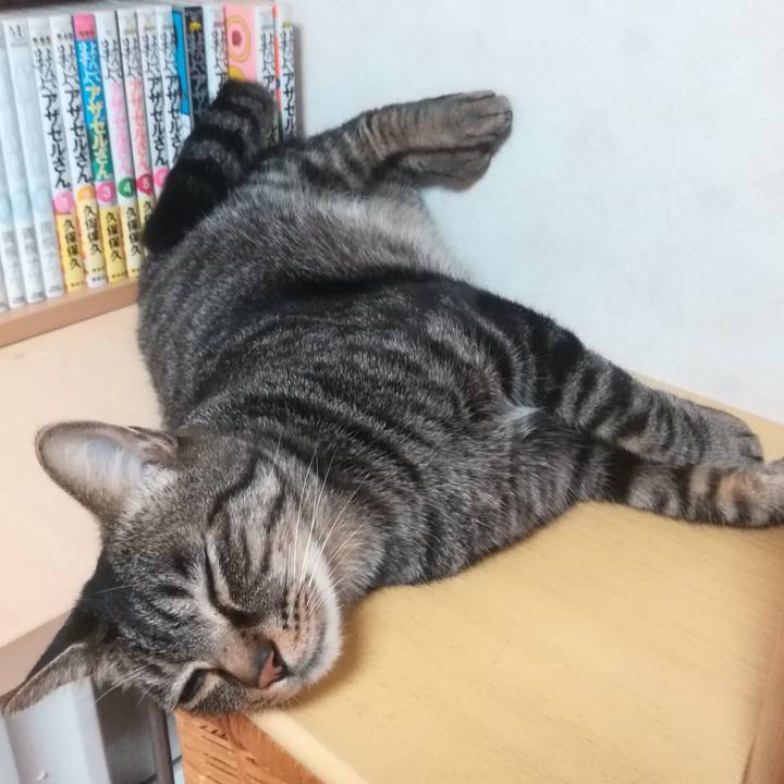 89e4f0a4 5126 4586 861b d8eeb51e418d 1530540029408