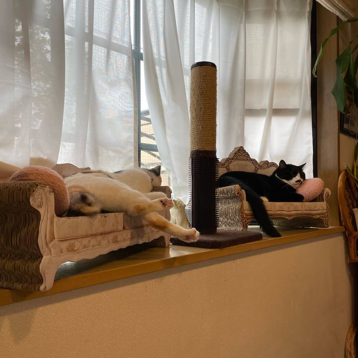 89e4f344 d1b5 40ad a8a1 dabfcbddb008 1696462478592