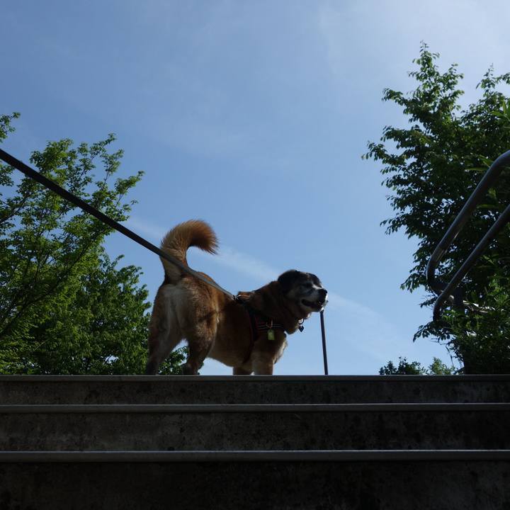 89e4f877 5e5d 4383 92f8 9632b9e3df61 1667697895019