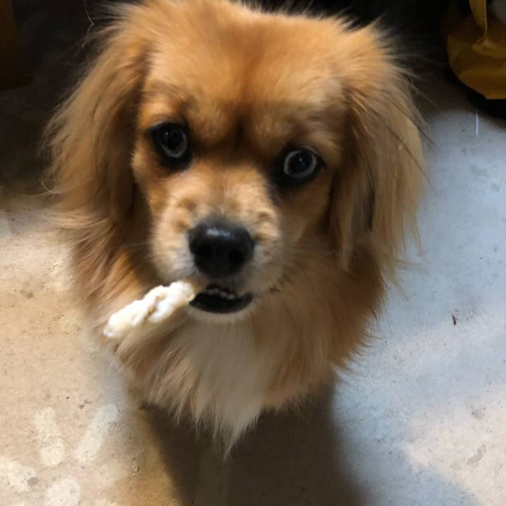 89e51722 56b0 4efa adc2 6ed9f9588d94 1548634466123