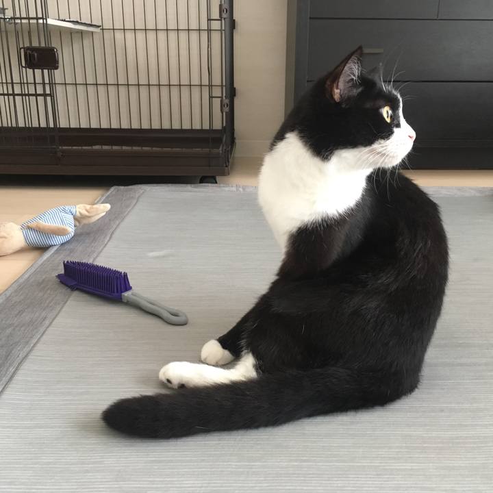 89e57706 fcdd 4056 a56f efef1606dd0f 1561882944550