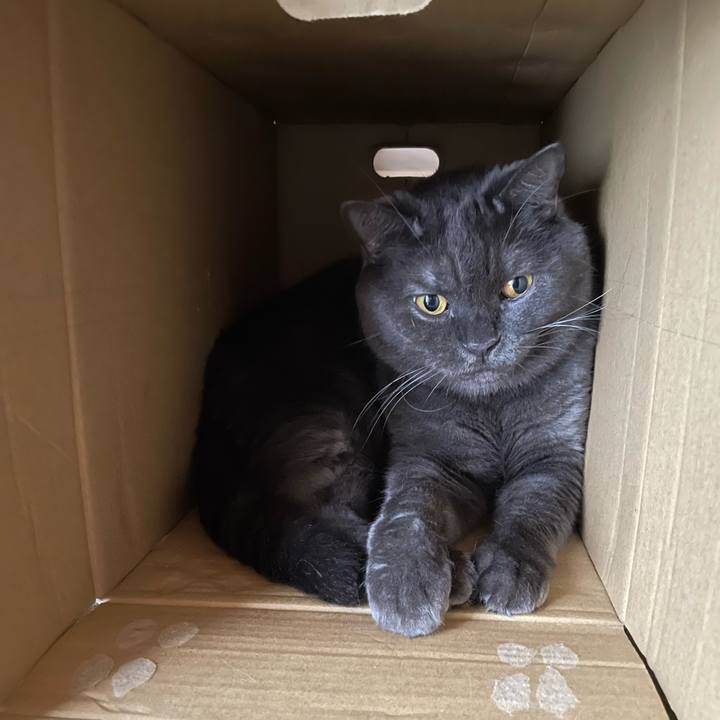 89e587ca b2da 4a9c 83b1 fb8bac94f90a 1759481541344