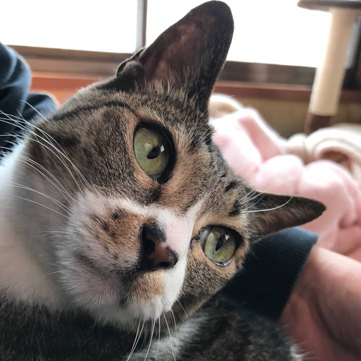 89e59718 f27d 444c a4a1 c9335c72f2be 1522112375182