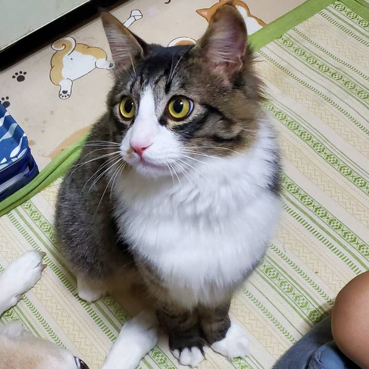 89e5a509 5c19 4028 85a8 8a16affcefd8 1654783517391