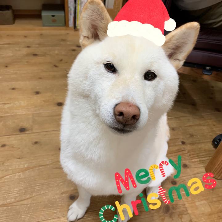 89e5a762 3081 445e b48b d6bec3f19db1 1577150117936