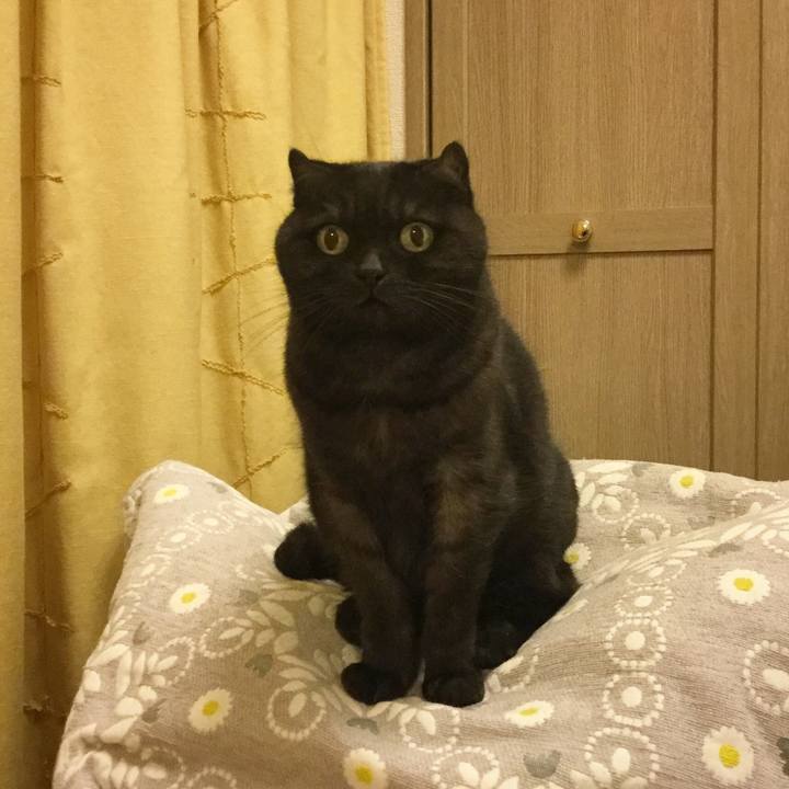 89e5c1c2 665d 4804 9733 ec116dccc1e1 1509213121966