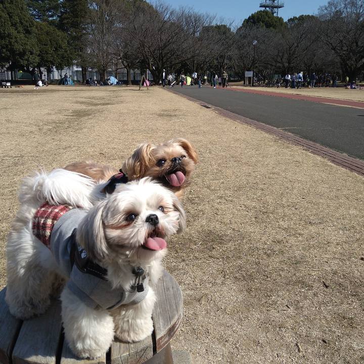 89e5d286 827a 4390 9ca5 f8d08a28cceb 1613880576316