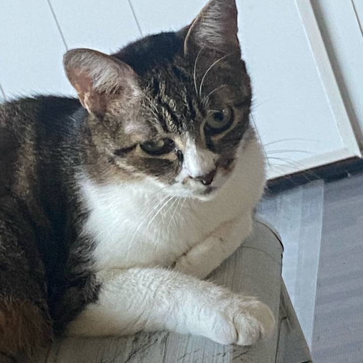 89e60cb8 d170 44e9 8a43 209022309f92 1627894242342