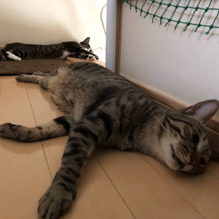 89e60d8d 0dc0 4ca5 a1d1 dbfd70202086 1530338378549