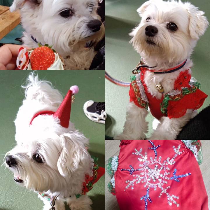 89e664e0 8692 489b 95c1 ed8bbece395f 1702813049807