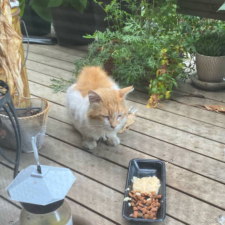 89e67e30 3e41 46a4 bf6b 189e8ce1bc95 1752374682860