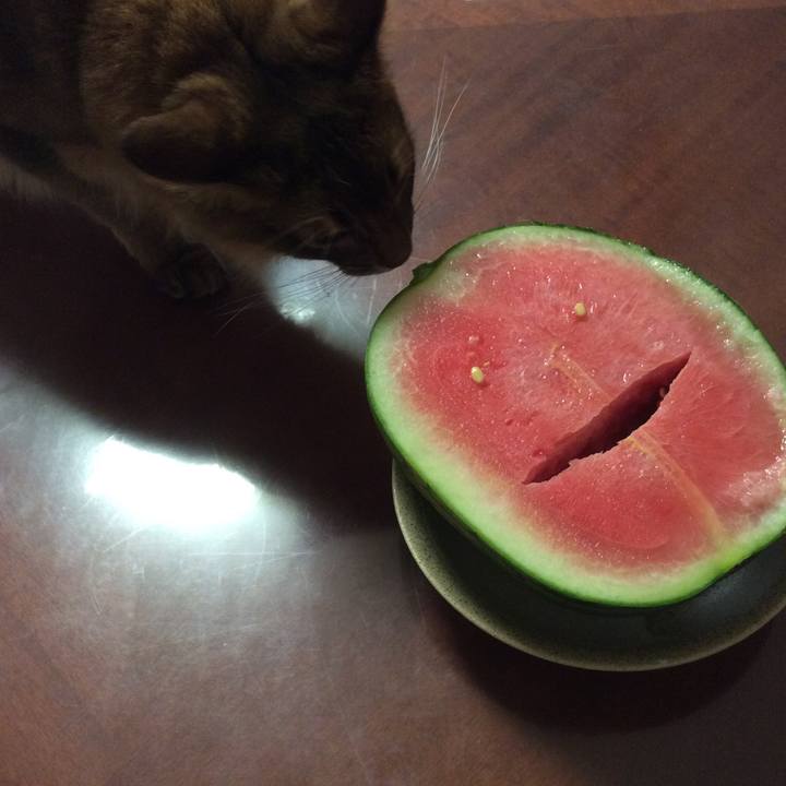 89e6bb95 325e 4c75 a94b baa657c2e822 1625723598829