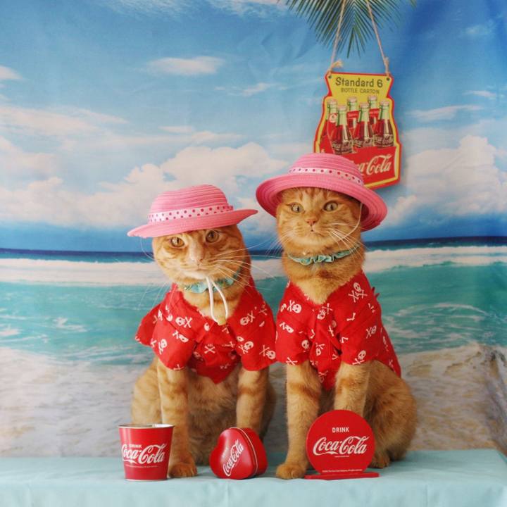 89e6df48 57cd 4fa1 a7fd 1f0760b0c770 1754647841164