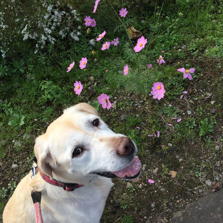 89e6e1bb 21ab 43a9 8de7 f354cb48ccab 1557644464962