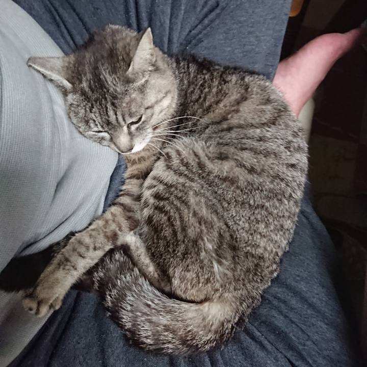 89e6e929 4622 48a1 a224 63ef16d0c7d6 1556705986854