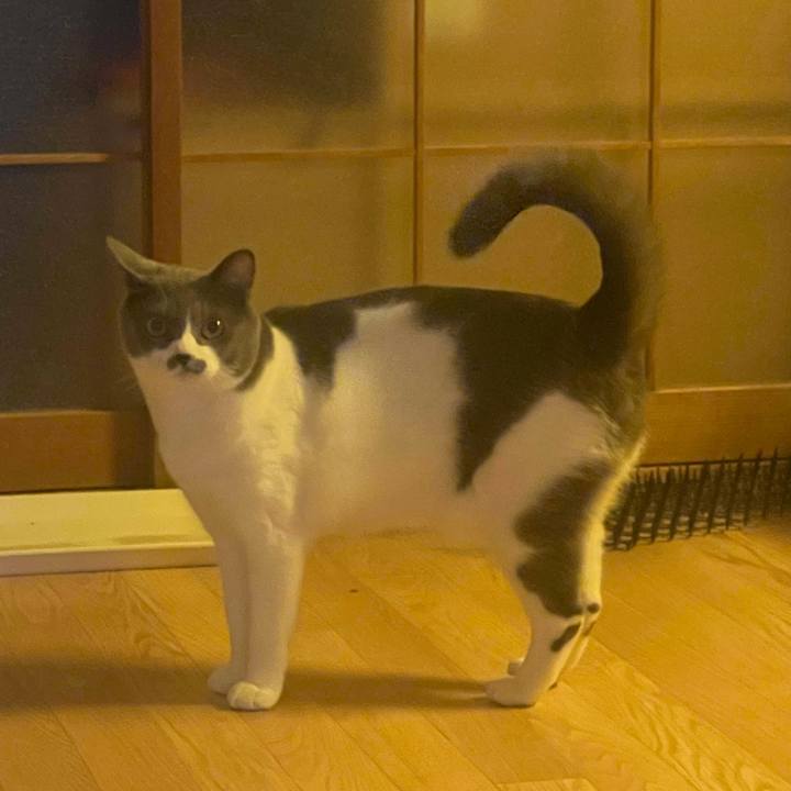 89e6ec47 b1ed 494a 8c85 392f921d7ac2 1661847122534