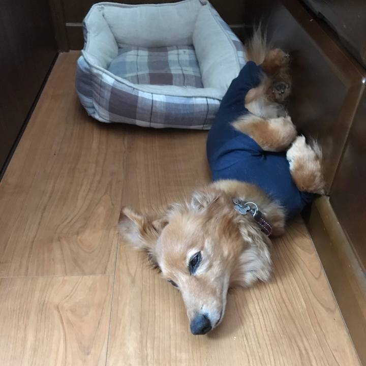 89e71261 7db8 4175 bbe6 2448028833d0 1589601586491