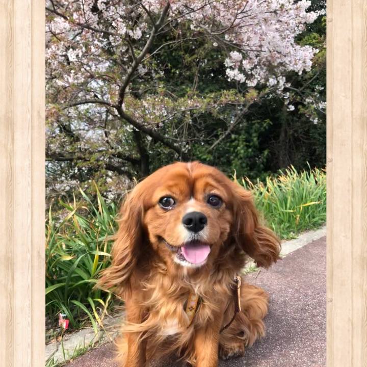 89e720f6 0e38 4e74 9330 a1e7c5505729 1617412311560