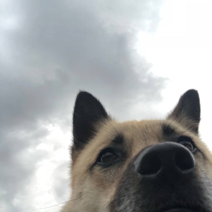 89e73890 83ac 491e b914 ca1035cb4cdf 1530097123532