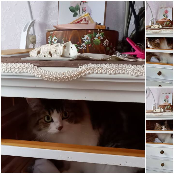 89e74df4 cbf5 4e0b b67b 6631fd249e65 1631278357105