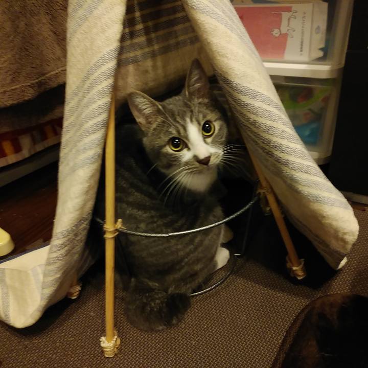 89e75557 7b75 4a22 9d30 c62fe8c6cbdf 1575729558144