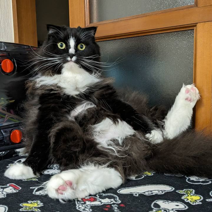 89e77947 5173 4e2e a17f 9d5c7e2eb5d5 1702380470780