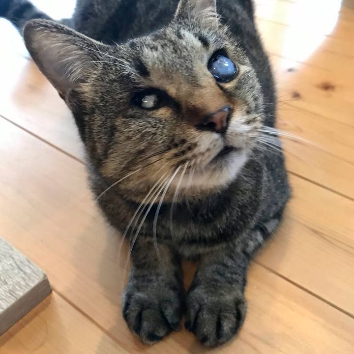 89e7aa80 4004 4559 889c bea3392be7b9 1617421865100