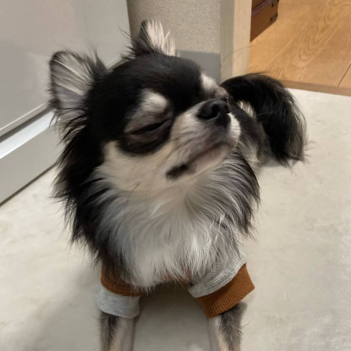 89e7b7a9 fbca 42ed 9560 68578c4cf8d4 1611443712251