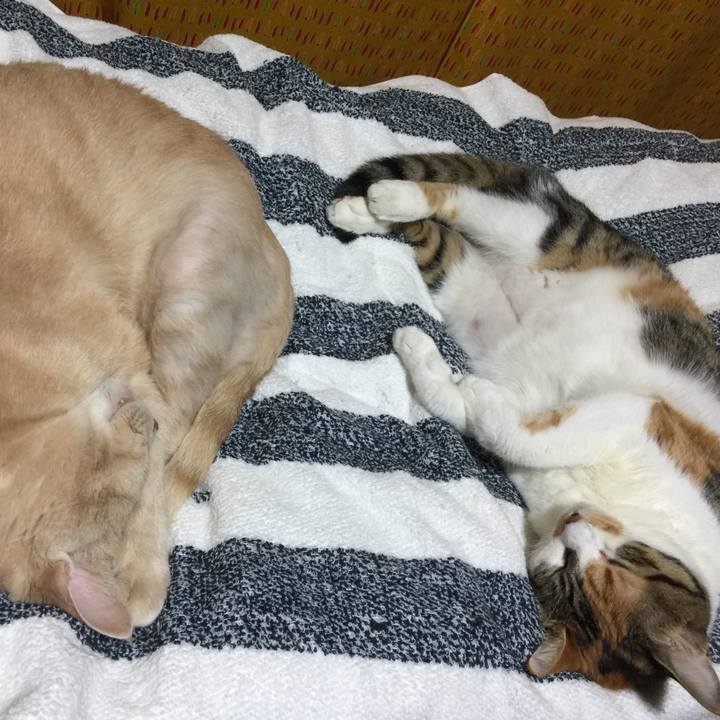 89e7c829 e1e5 4d18 87d8 fff32fa04299 1663680366997