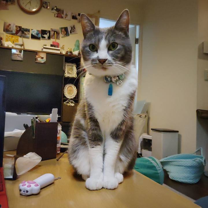 89e82175 3a59 4be1 b6c4 f4b7e8fc217c 1671872361582