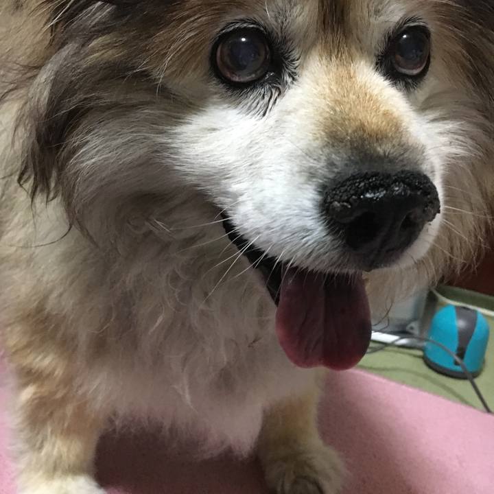 89e84525 1821 4d6b 8d7b c1d474bc668d 1602428027190