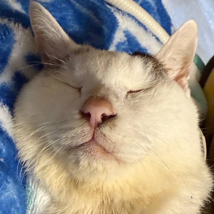 89e85835 b7e6 4360 8a46 5258214a430e 1764594681734