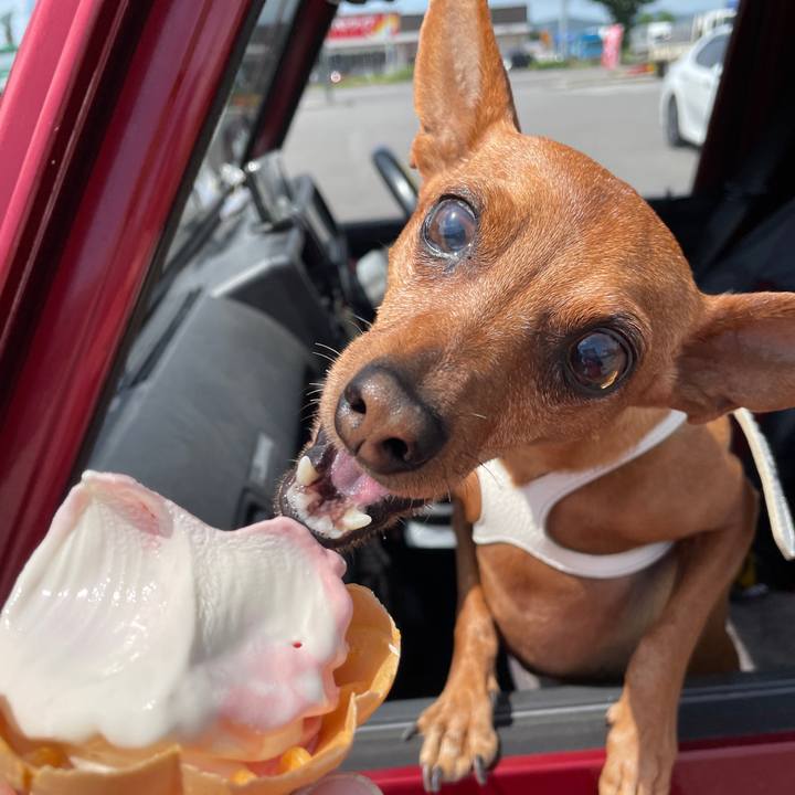 89e89e72 cd9d 4ab2 84df a97a3626698b 1659763339442