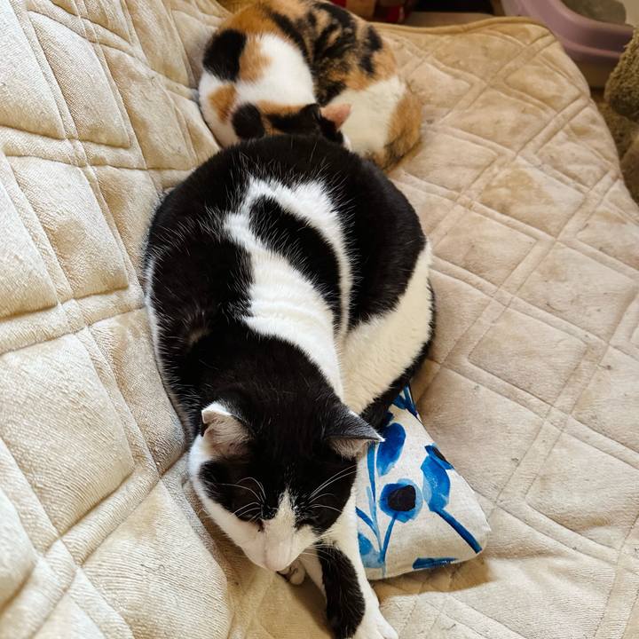 89e8b08c 3db0 4c51 9a3e eba6a16604d7 1680830942290