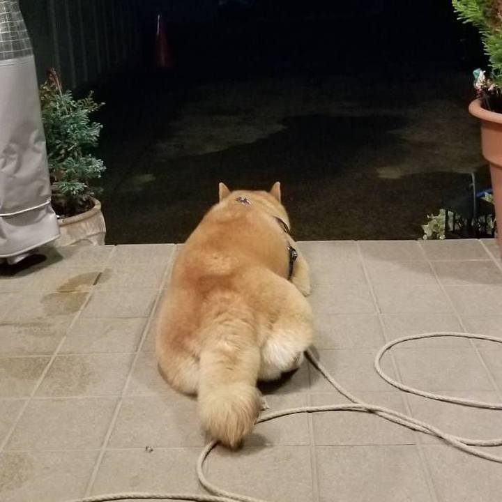 89e8e65b 2500 499e 99ac f6286ebaeb62 1540813140330