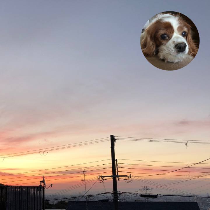 89e90af5 0719 4c01 ad1d 076066724f0d 1542751284783