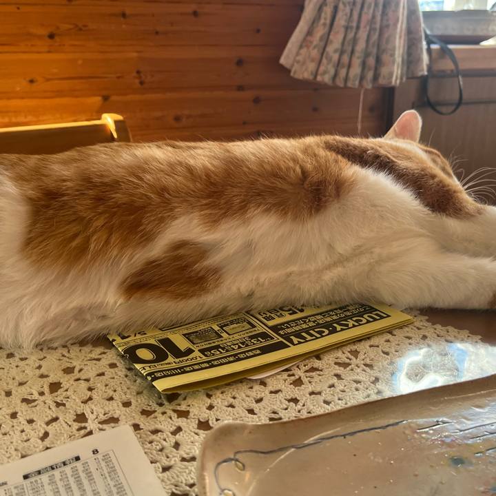 89e93bc8 bac0 4745 8503 854ac6c5d7b9 1683927842804