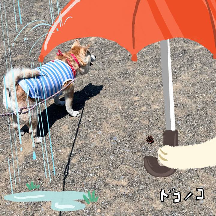 89e99cd9 e761 4edc ba48 afd0cc9835a6 1749127598786