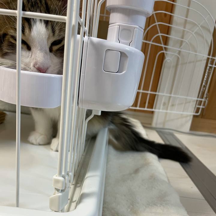 89e9b27c 639f 4163 b370 42f7d19676d9 1634474529486